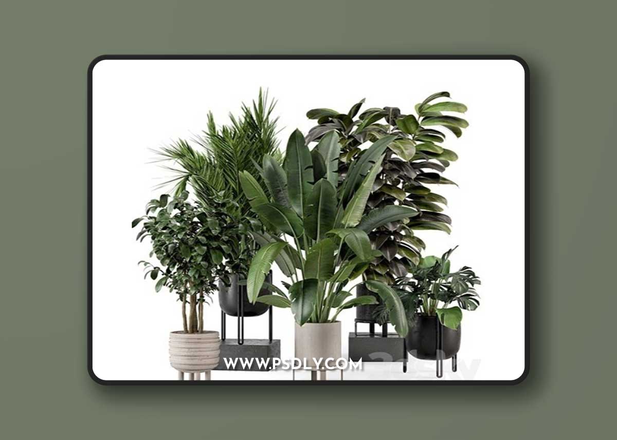 Indoor Plants in Ferm Living Bau Pot Large – Set 879 3d model