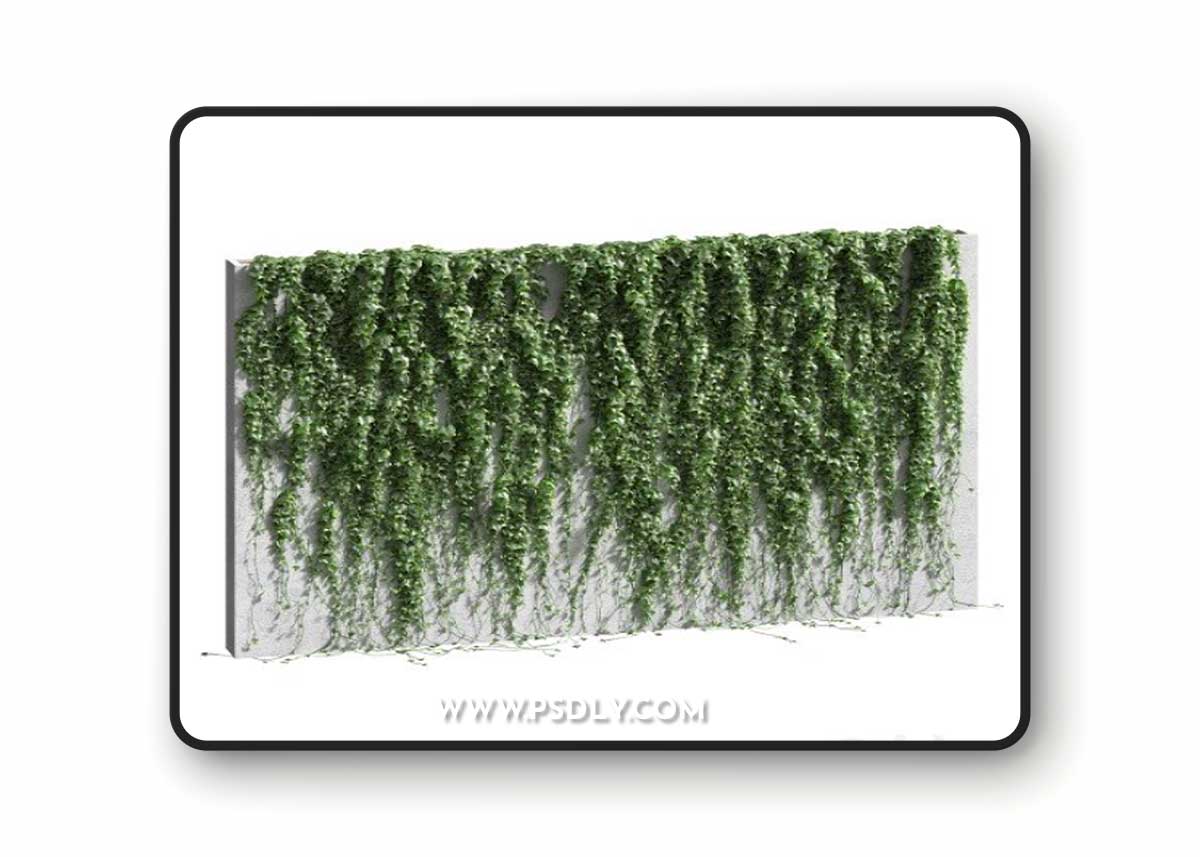 Ivy for the Fence V2 3D Model