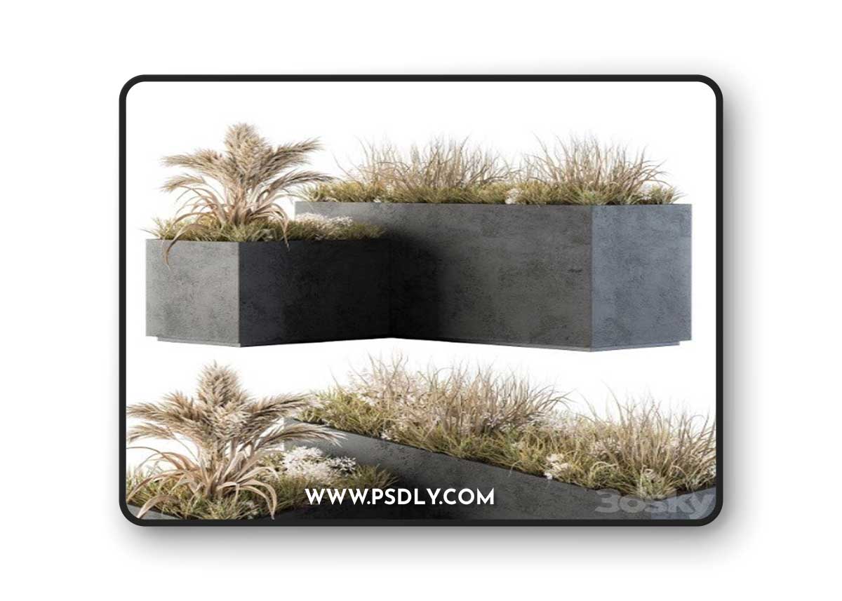 Outdoor Concrete Plant Box With Cereals and Dried Plants Vray+Corona