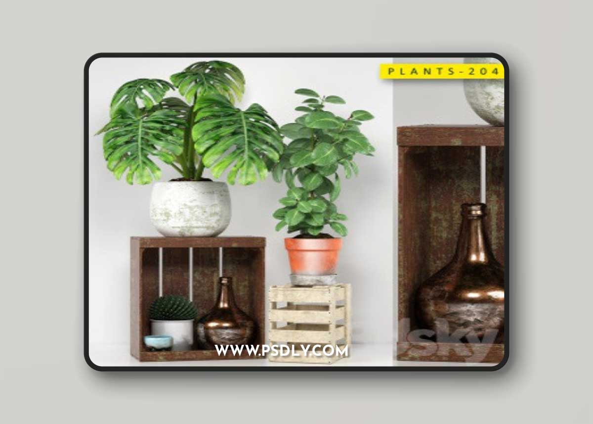PLANTS 204 Vray