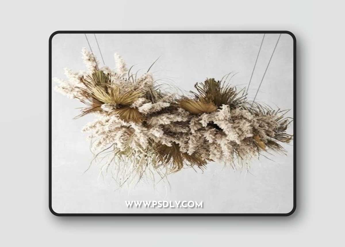 Pendant Decor Pampas Grass And Dried Palm Leaves