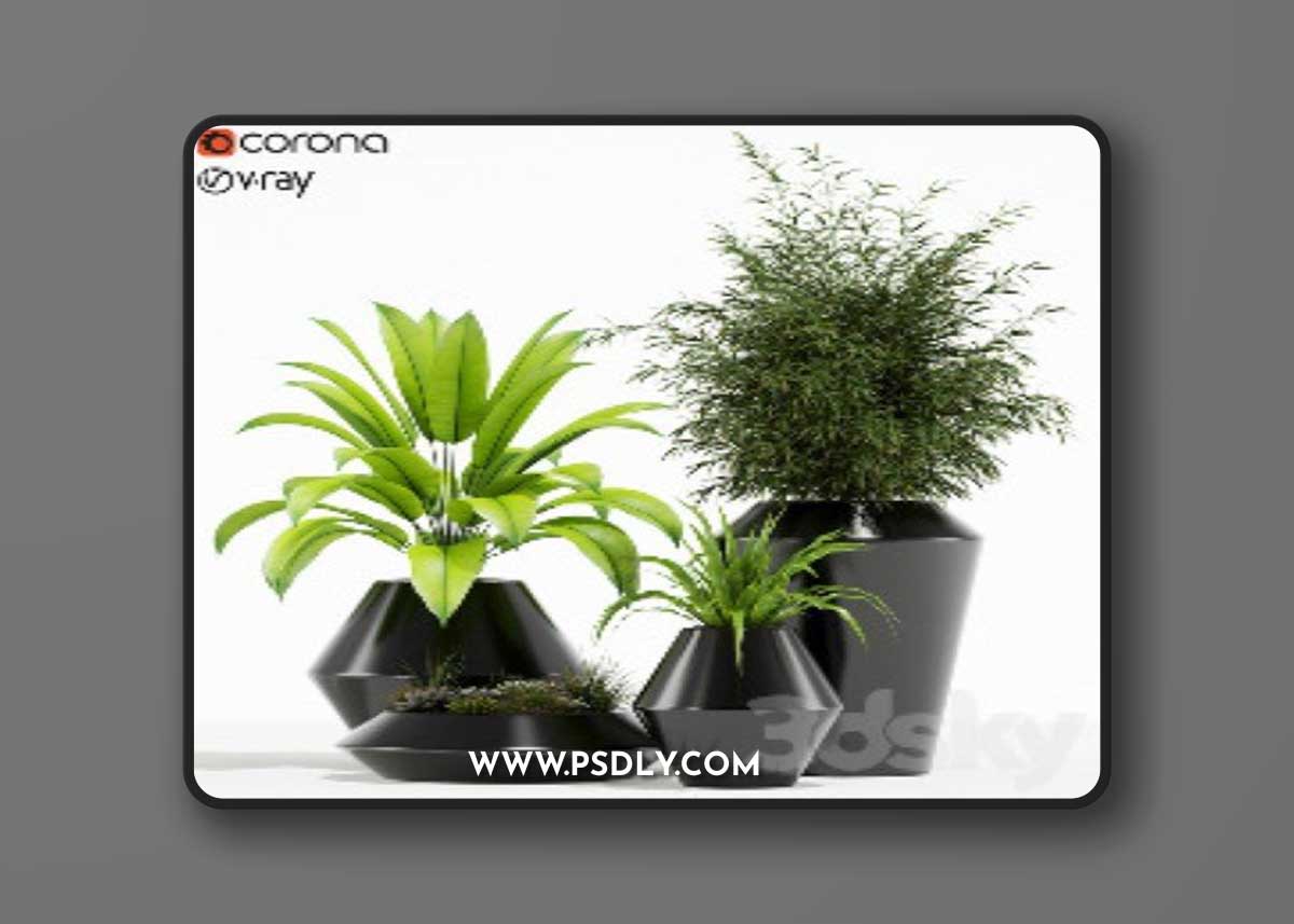 Plants Collection 133 Westelm Modern Planters Vray+Corona