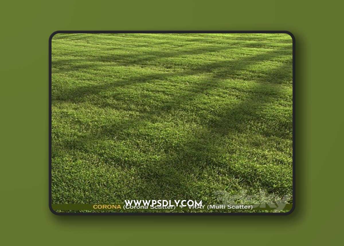 lawn landscape 3d model