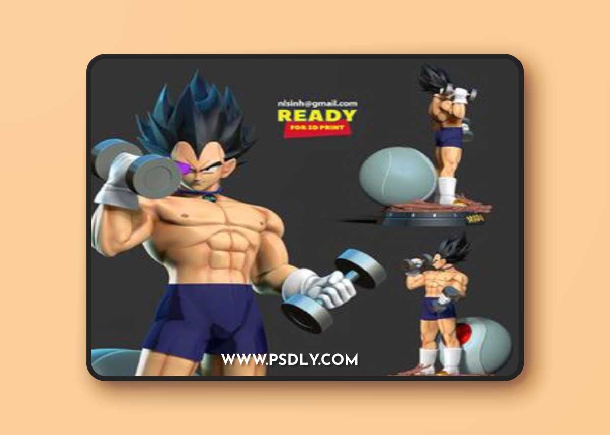 Vegeta with gym – 3D Print Model