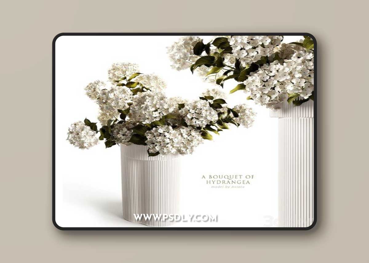 A bouquet of hydrangea 2 Vray+Corona