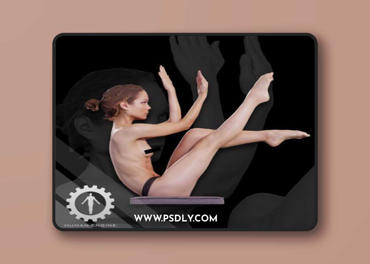 Sylph Anatomical Scan 288 3D model