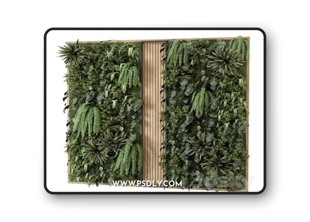 Indoor Wall Vertical Garden in Wooden Base – Set 638