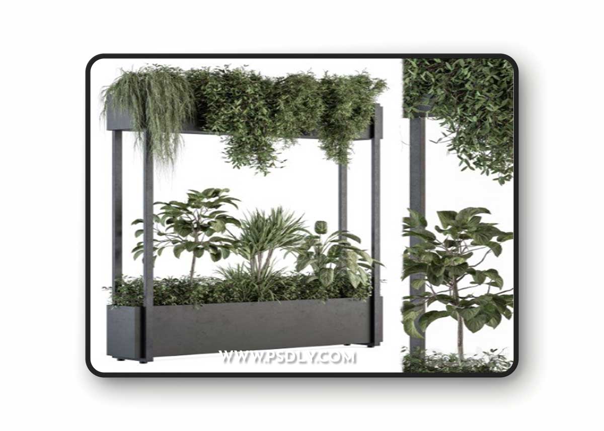 indoor Plant Set 258 - Plant Box Stand