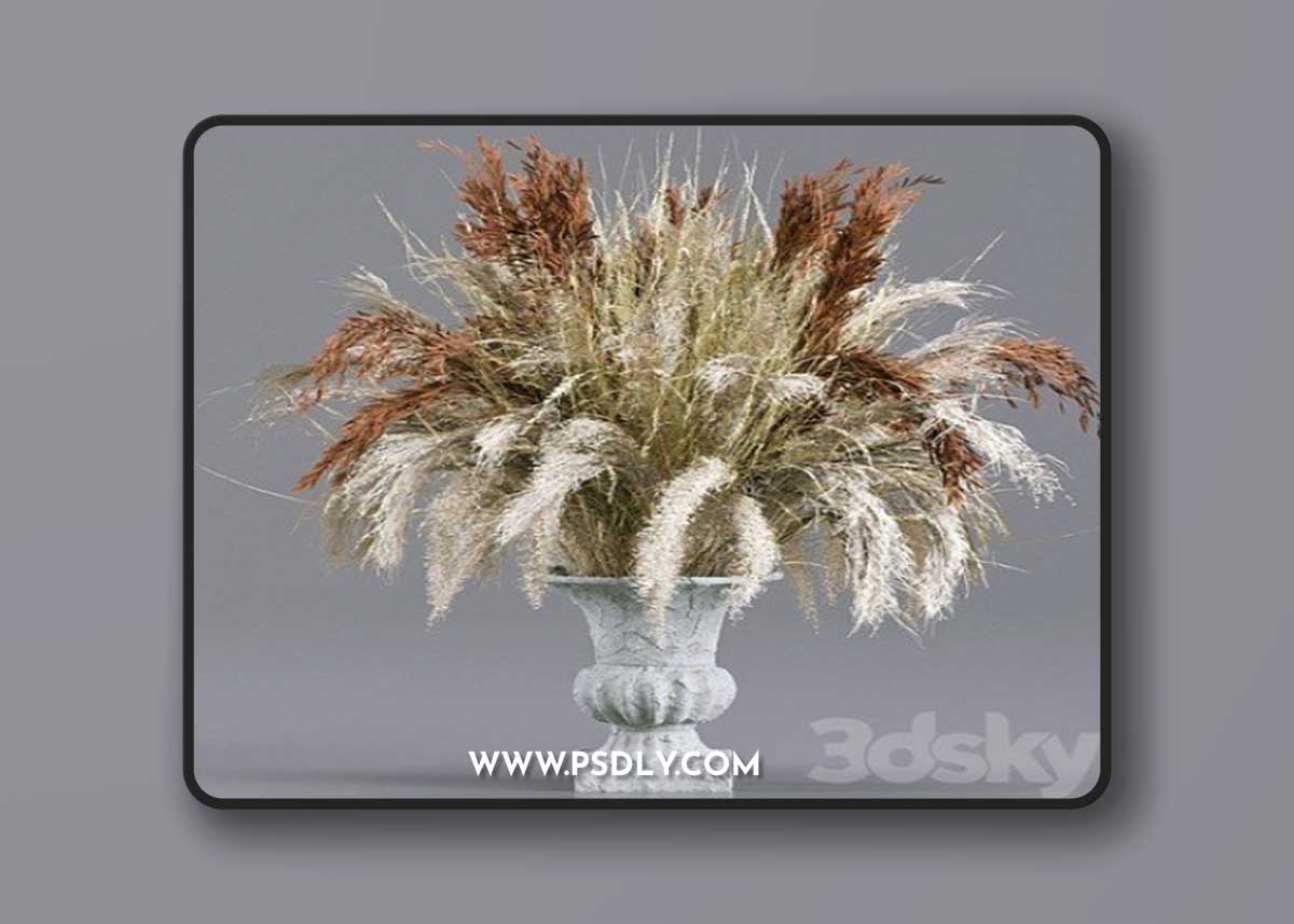 Bouquet Collection 13 – Decorative Dried Branches and Pampas