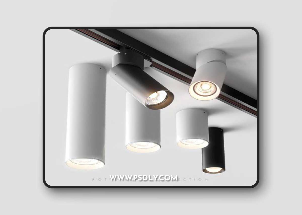 AQForm Rotto & Pet Collection Vray+Corona