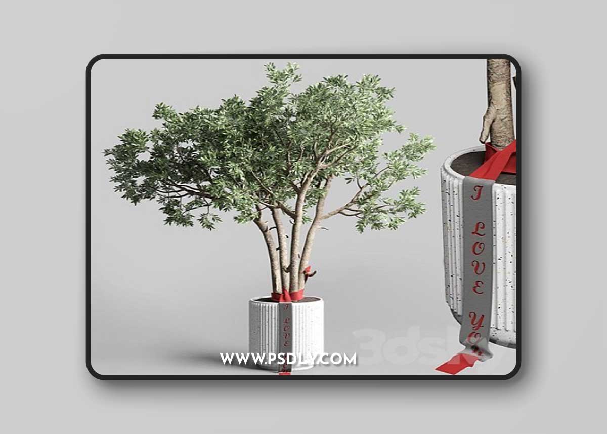Indoor outdoor plant 111 Vray+Corona