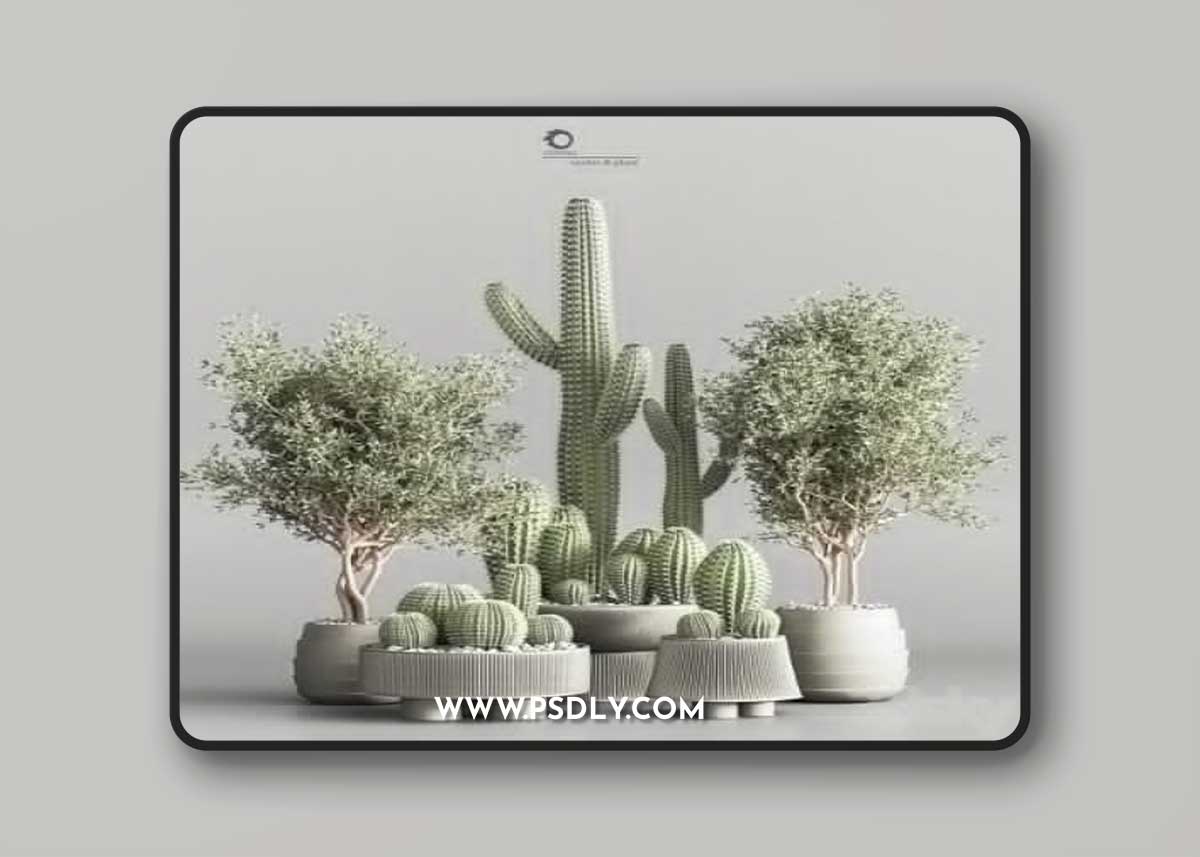 Pro 3DSky - Cactus & plant vol 01