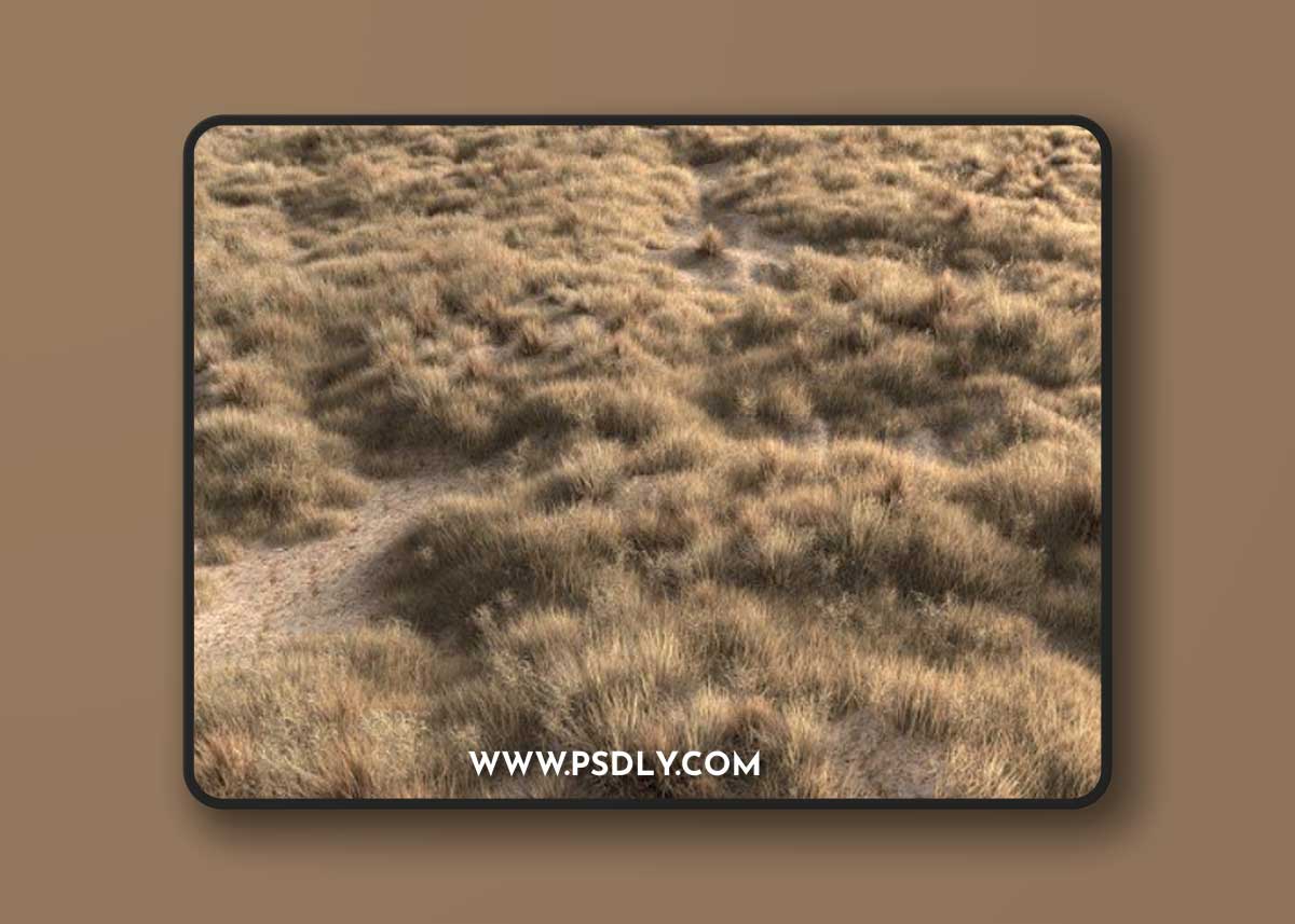 Pro 3DSky - Dried grass