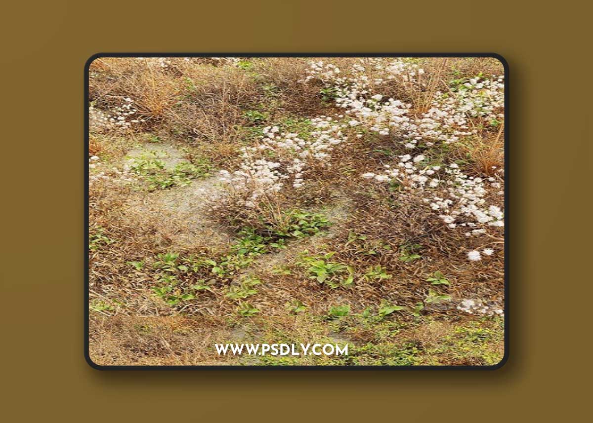Pro 3DSky - Dry Meadow