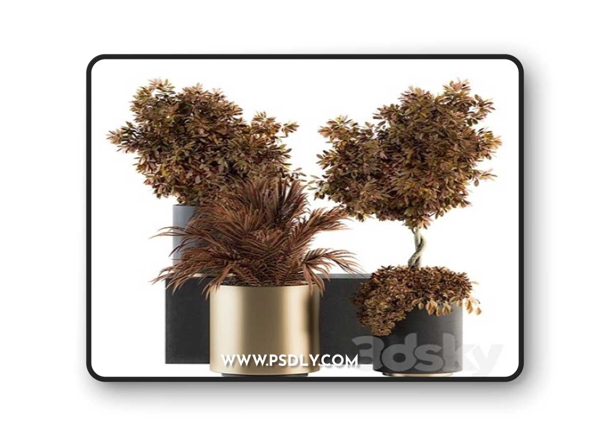 Pro 3DSky - Indoor Plant Set 91 – Black and Gold (Red Plant)