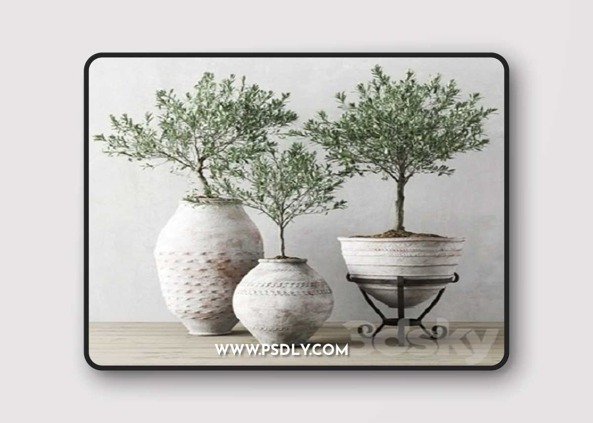 Pro 3DSky - Olive European In Antique Vessels