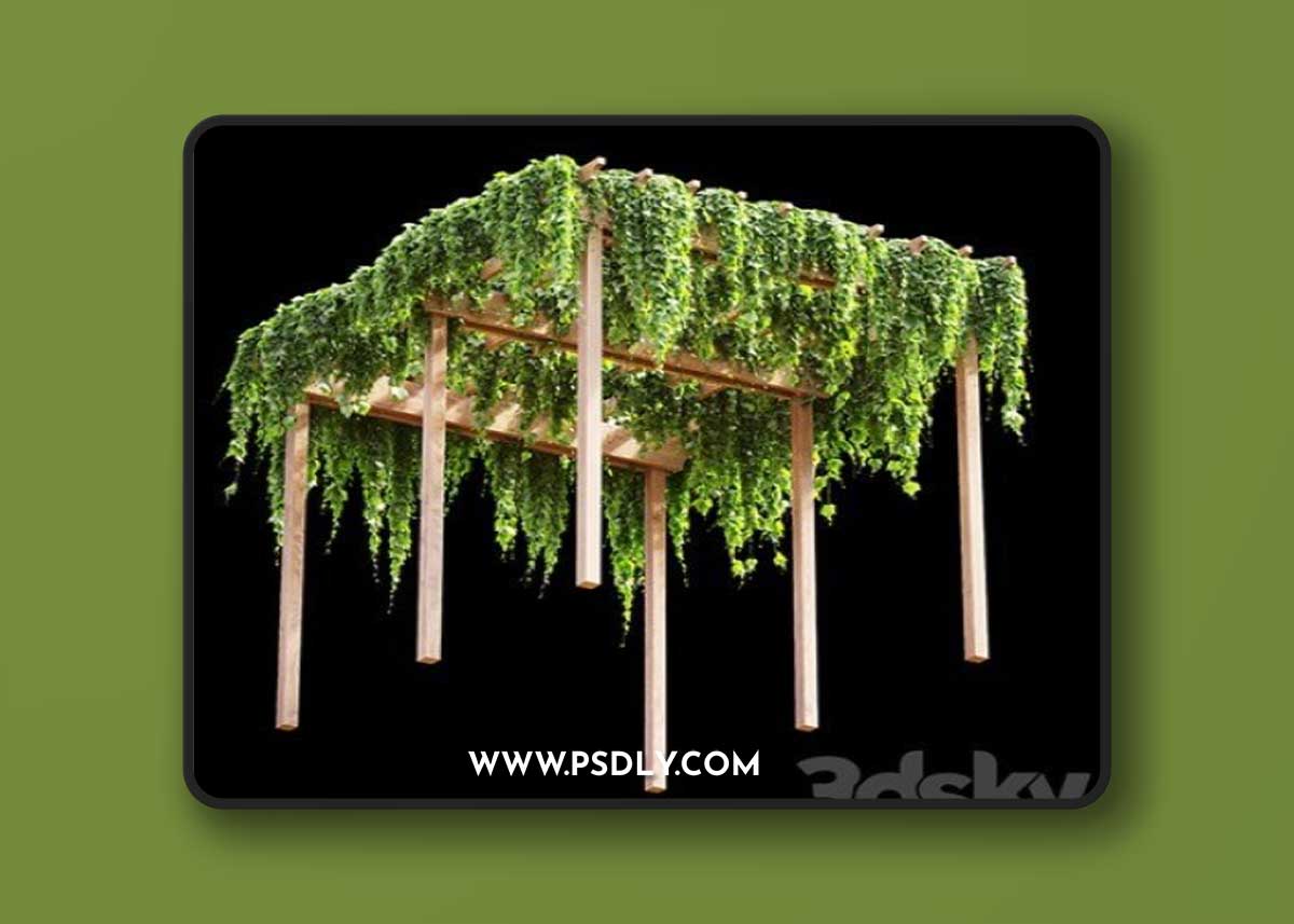 Pro 3DSky - Pergola with grape leaves v2