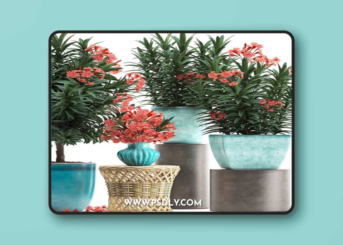 Pro 3DSky - Plant Collection 270