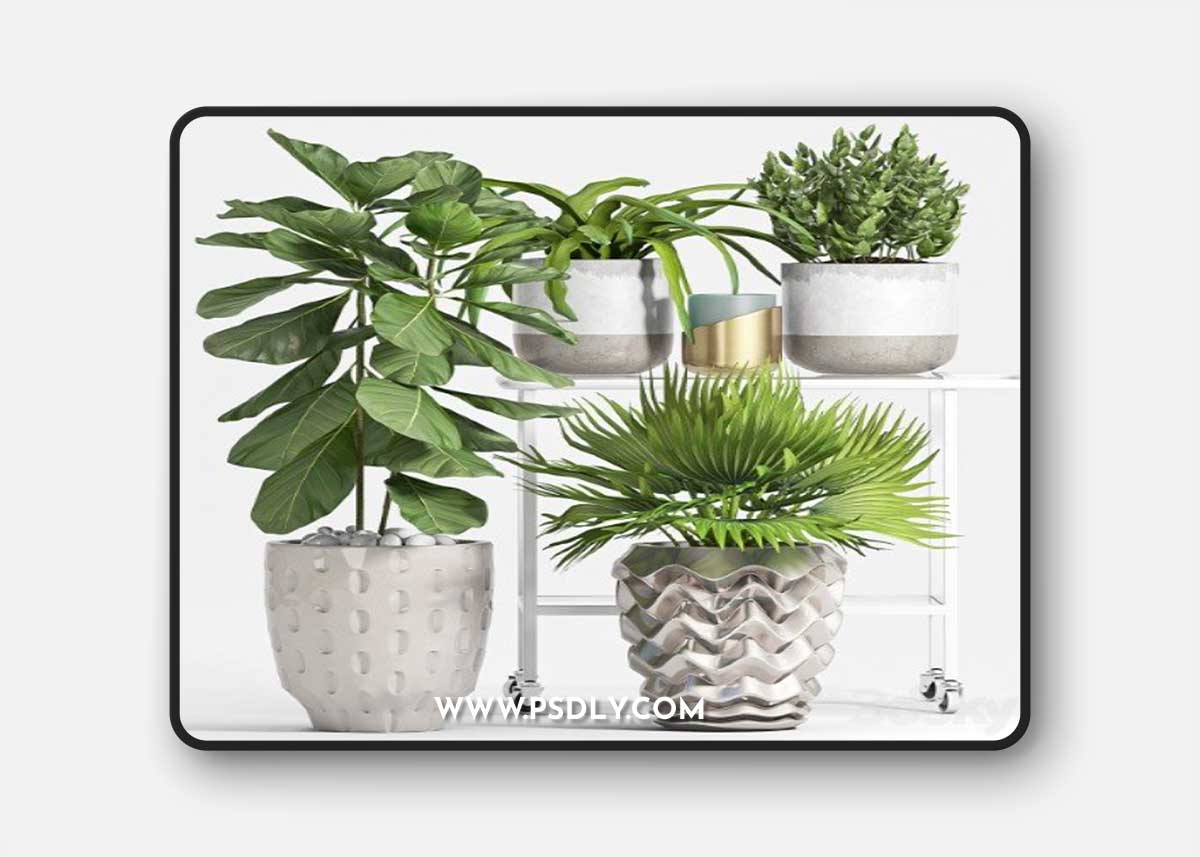 Pro 3DSky - Plant Set - 59