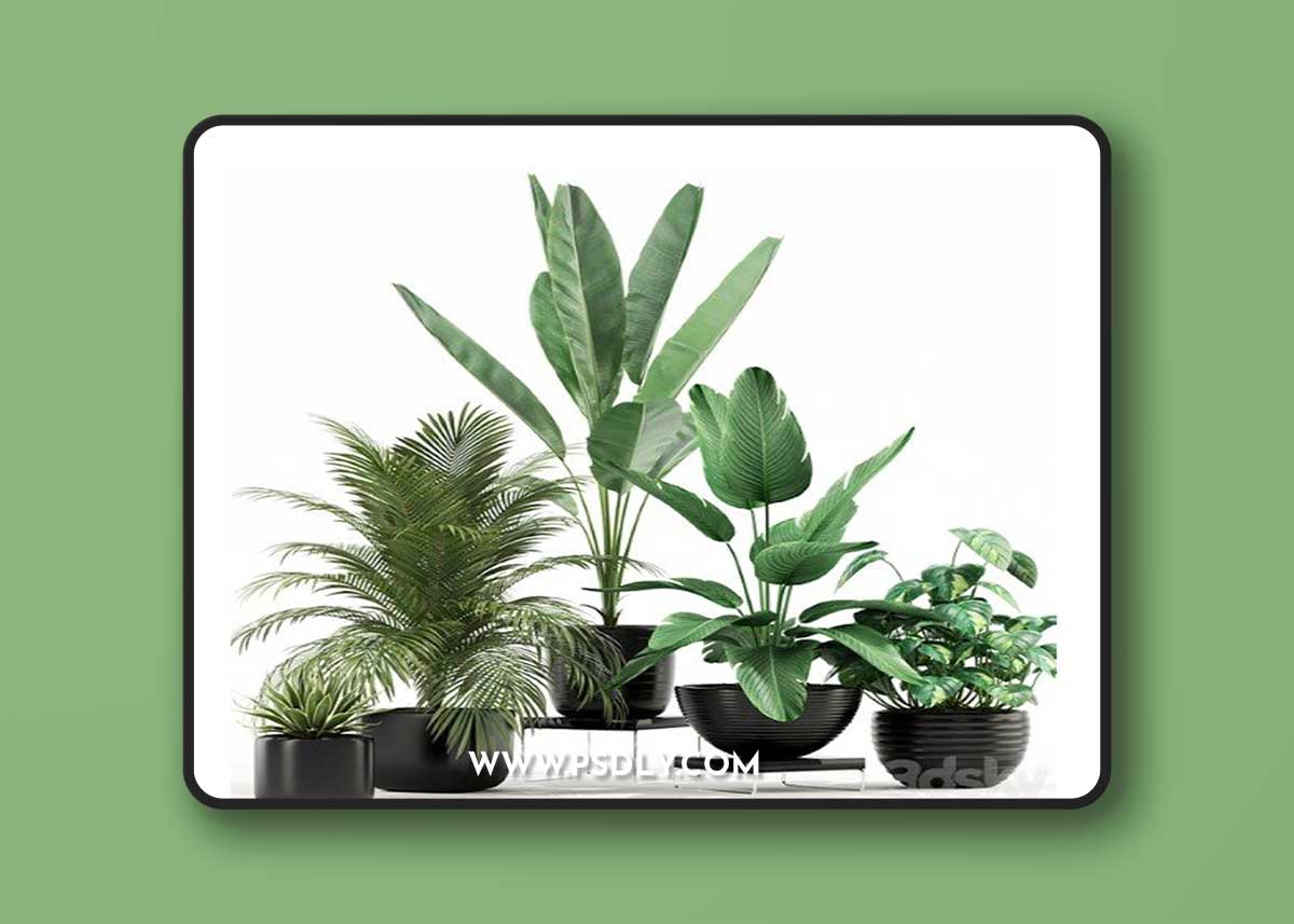 Pro 3DSky - Plants collection 119