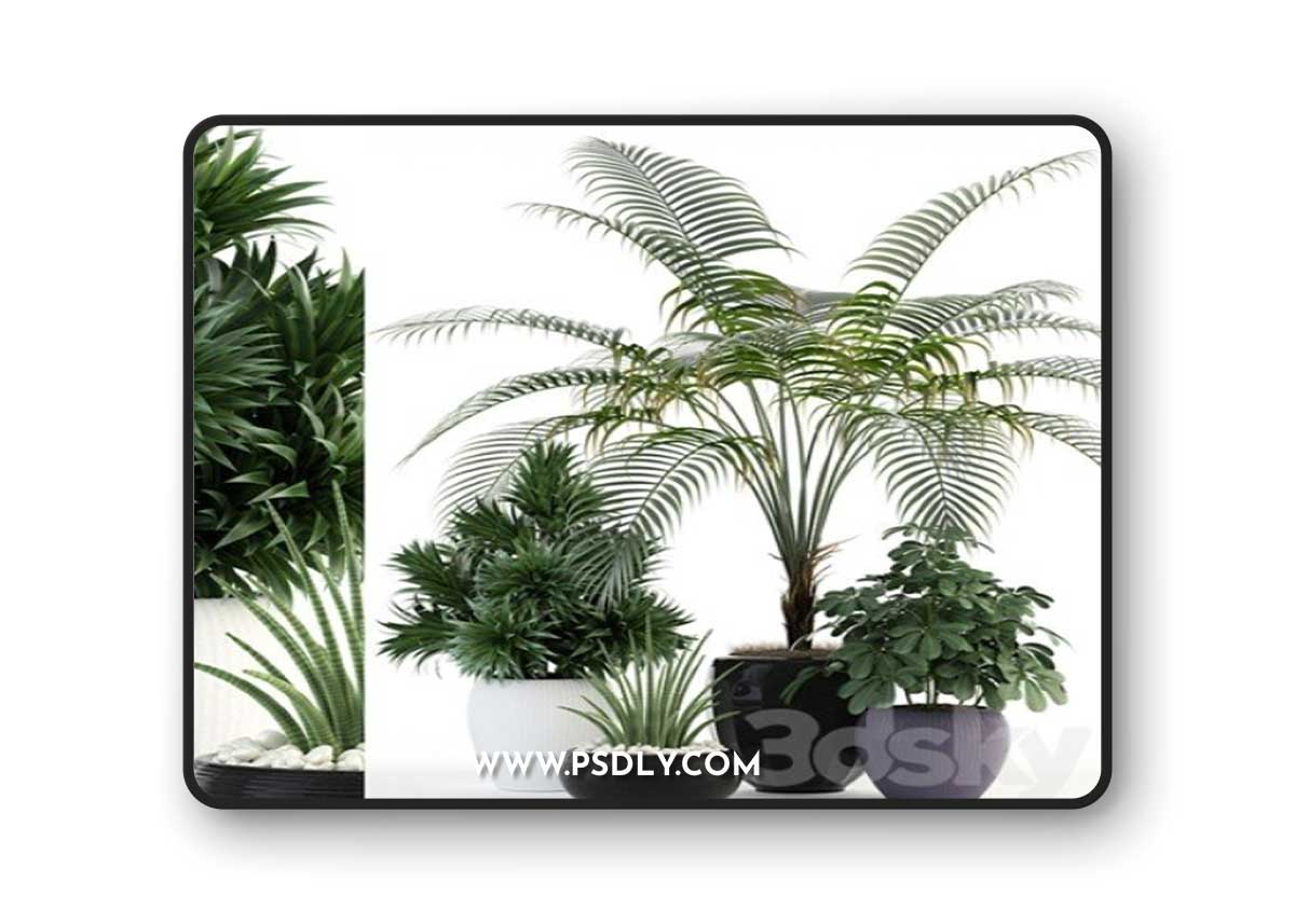 Pro 3DSky - Plants collection 86