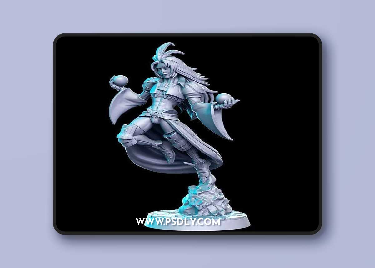RN Estudio – Balmar and Salweeki Chef – 3D Print Model