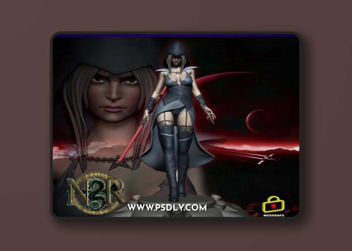 Sith Assassian Star Wars Girl – 3D Print Model