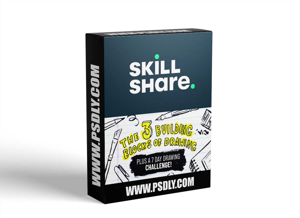 The 3 Building Blocks of Drawing & a 7 Day Challenge for Quick Growth