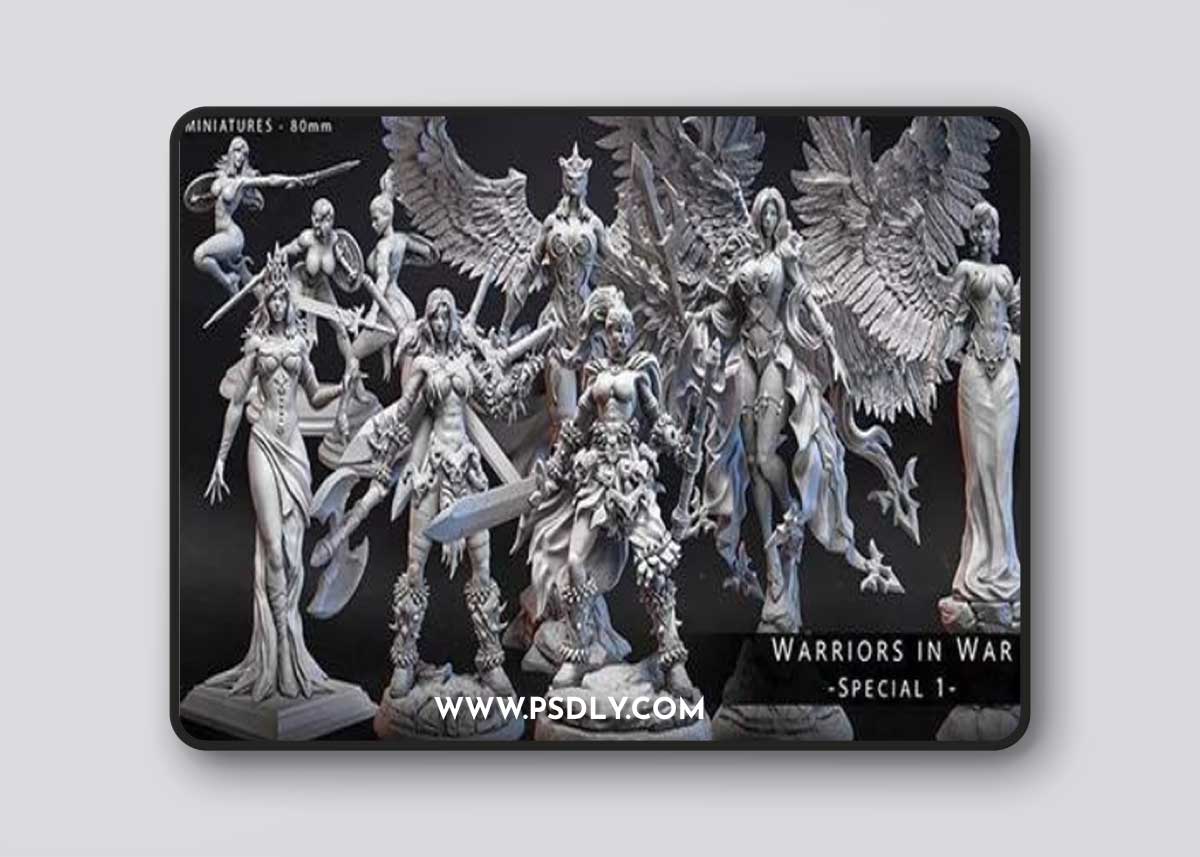 Warriors In War – Special 1 - 3D Print