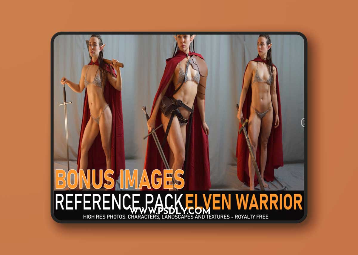 Artstation - Elven Warrior 500+ images including 360° Turnarounds +Bonus Pack