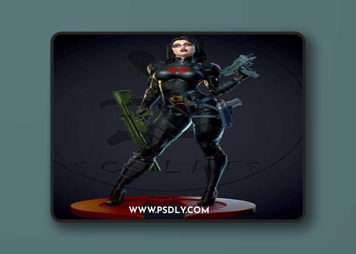 Baroness - Yan-H – 3D Print Model