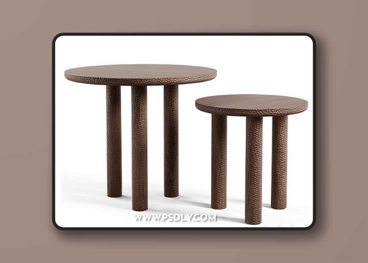 Collection Particuliere