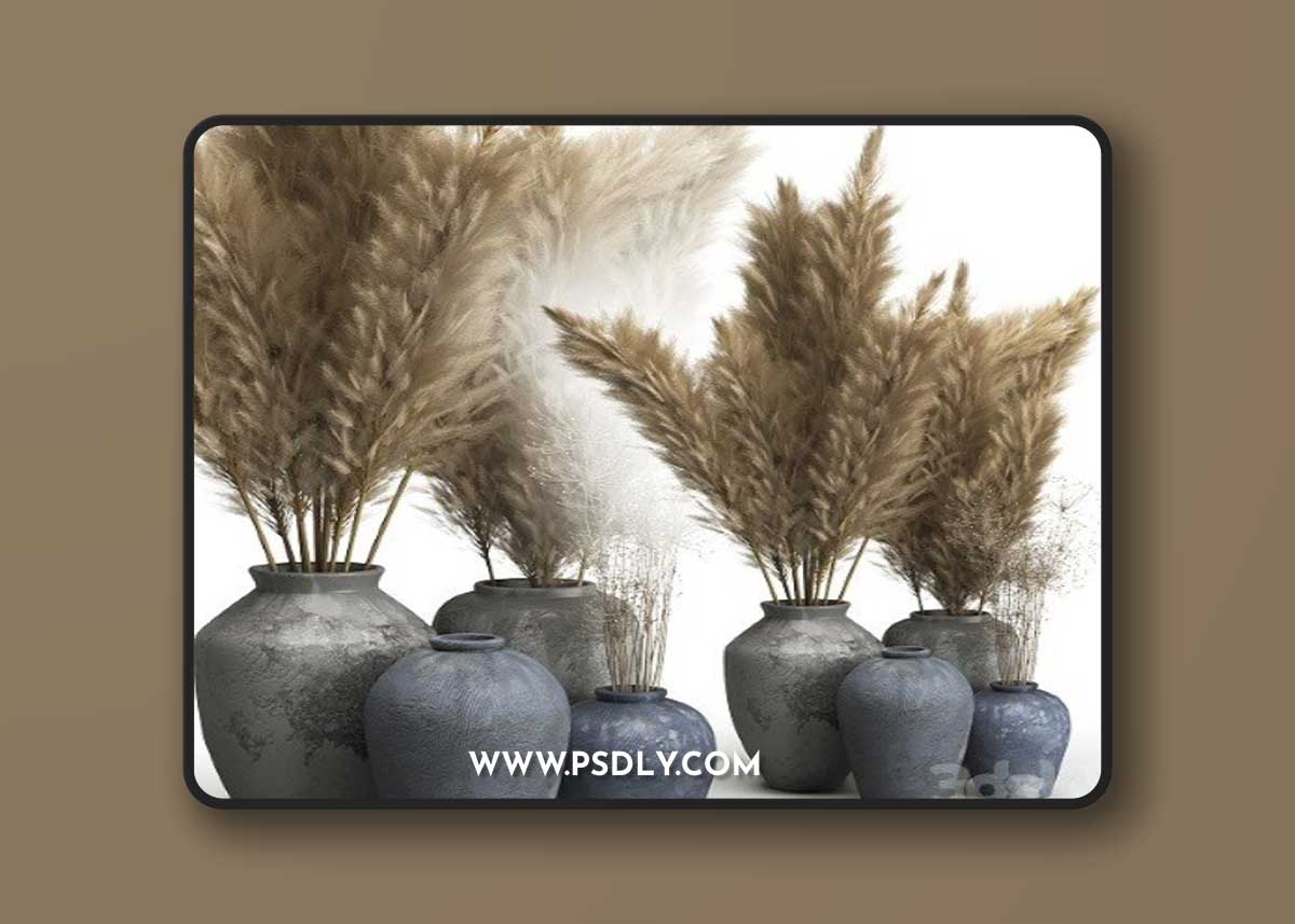 Decorative Set of Clay Vases and Pampas Grass