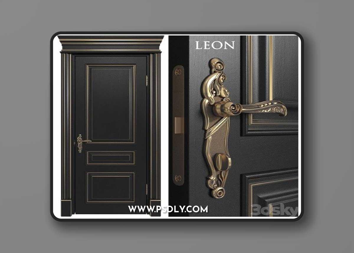 Doors Academy Line Leon 4