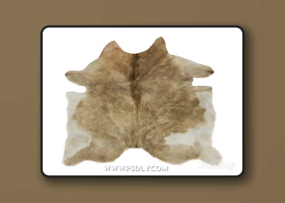 European Rug Cowhide 13