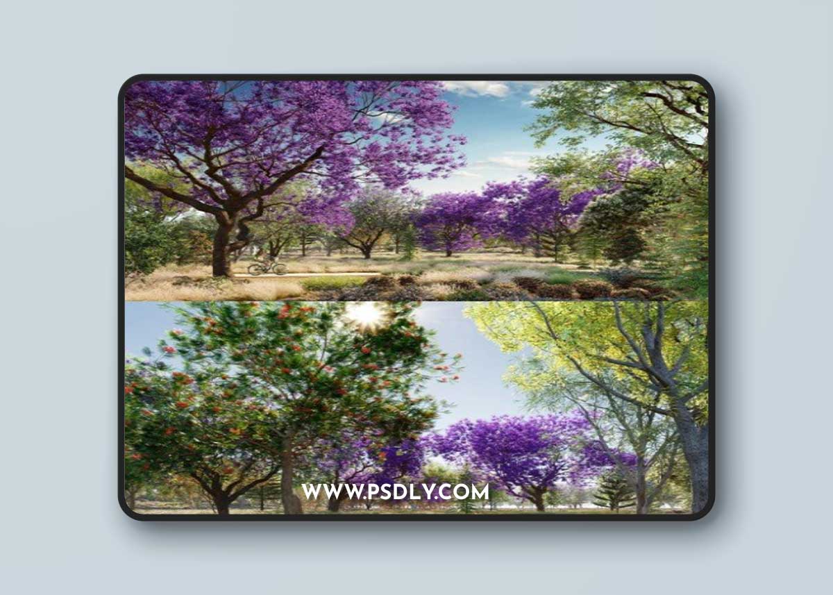 Globe Plants - Bundle 08 - Oceania Trees
