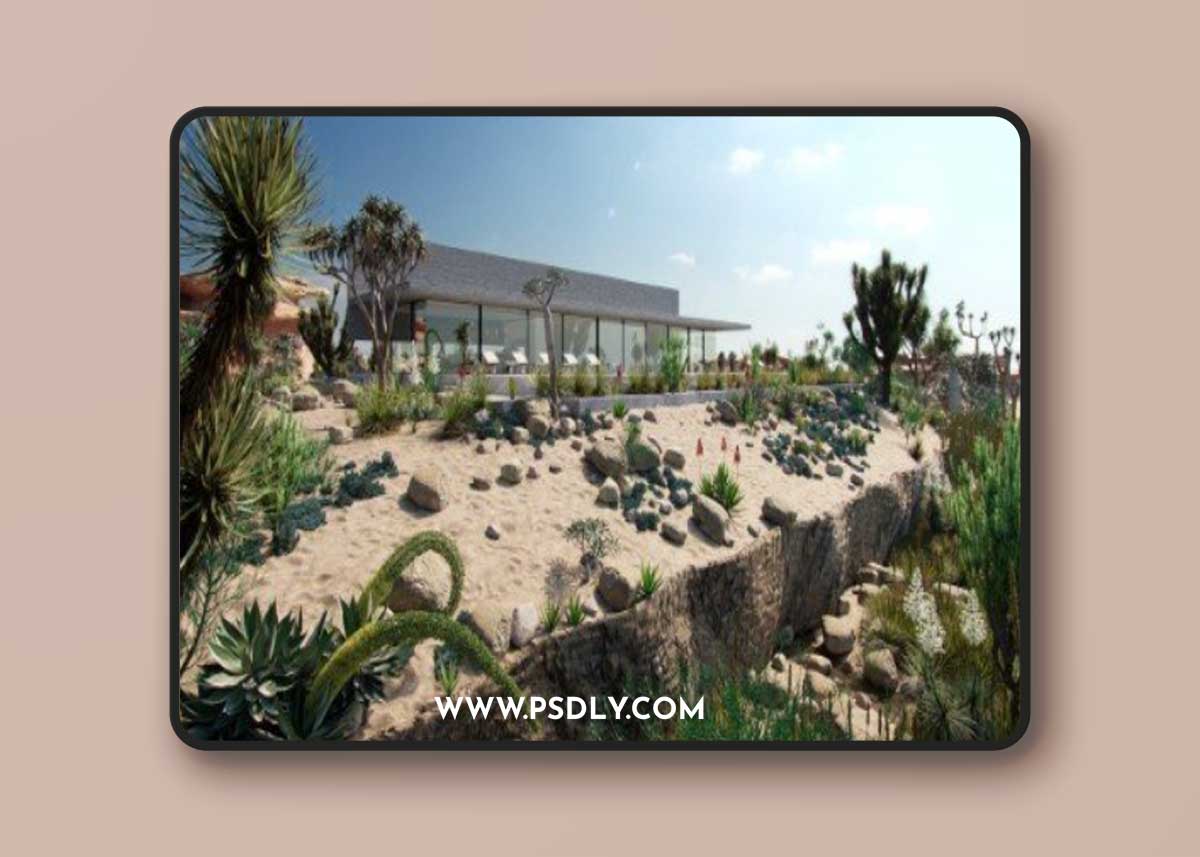 Globe Plants - Bundle 11 - Desert Garden