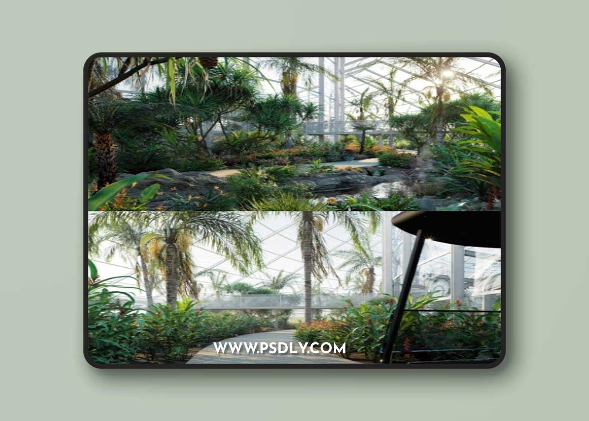 Globe Plants - Bundle 14 - Tropical Garden 02