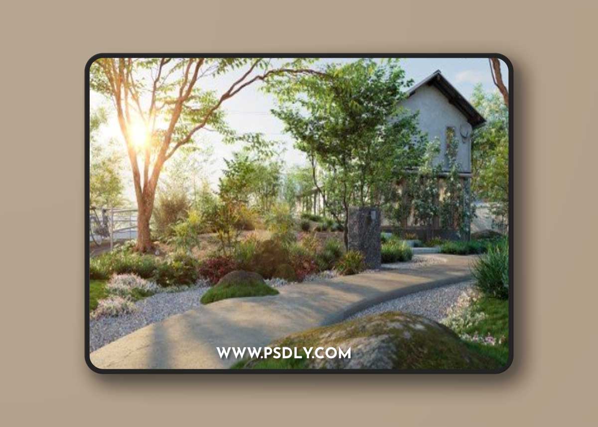 Globe Plants - Bundle 17 - Modern Japanese Garden