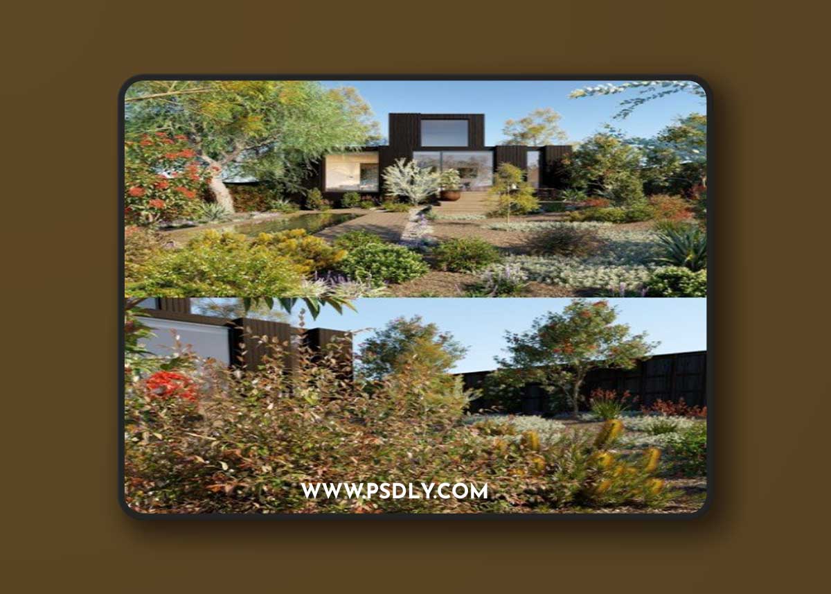 Globe Plants - Bundle 22 - Australian Home & Garden 02