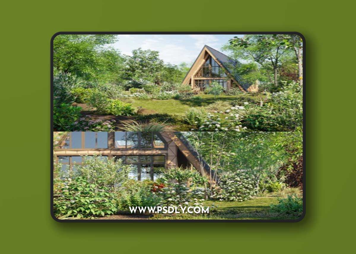 Globe Plants - Bundle 29 - North American Home & Garden 02