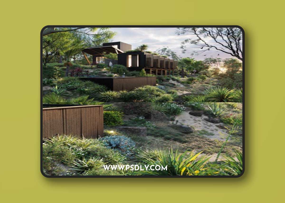 Globe Plants - Bundle 33 - New Zeland Home & Garden Plants