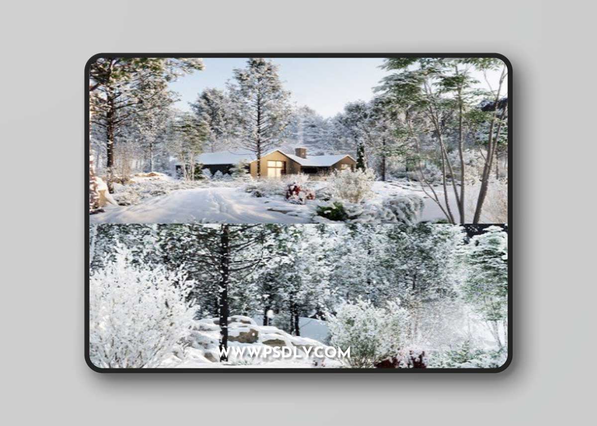 Globe Plants - Bundle 35 - Winter Plants