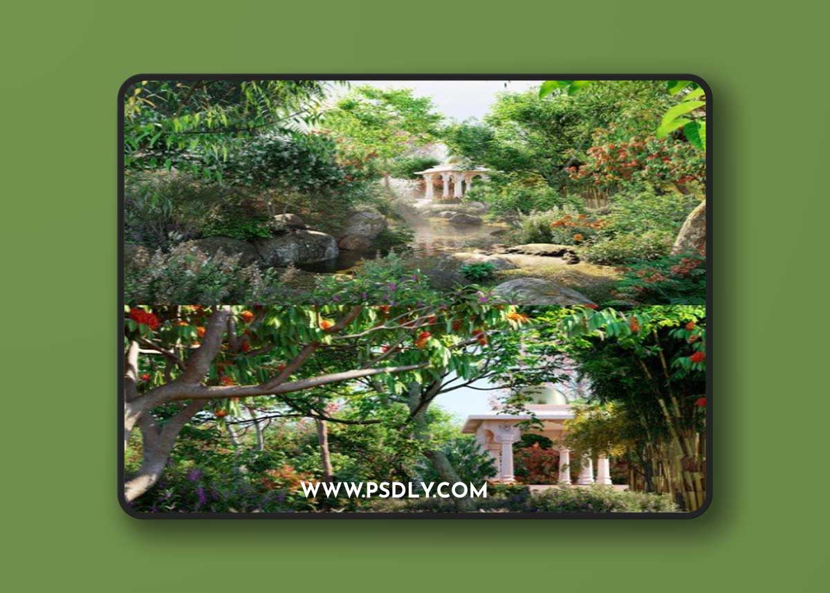 Globe Plants - Bundle 36 - Indian Plants