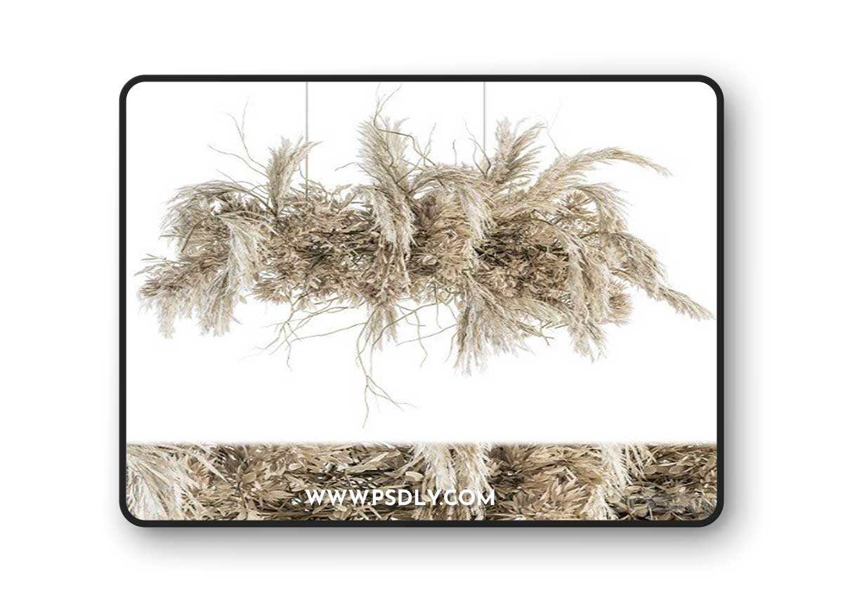 Indoor Plant Set 121 Dried Plant Hanging