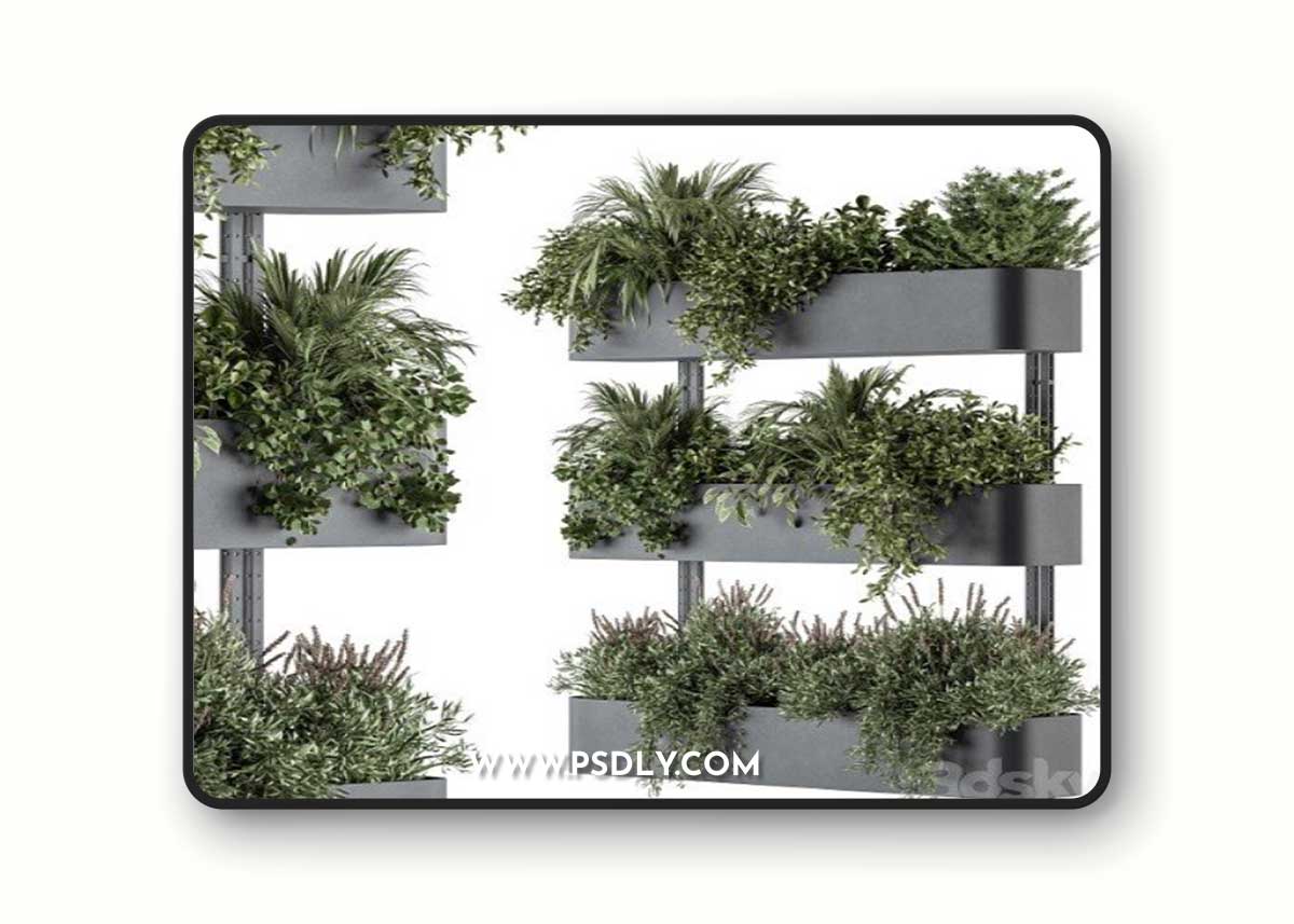 Indoor Plant Set 306 Box Stand With Hanging Plants