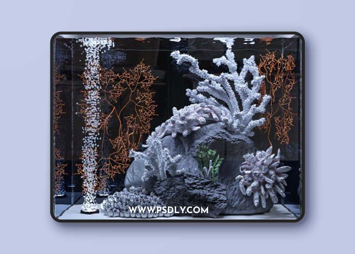 Marine aquarium