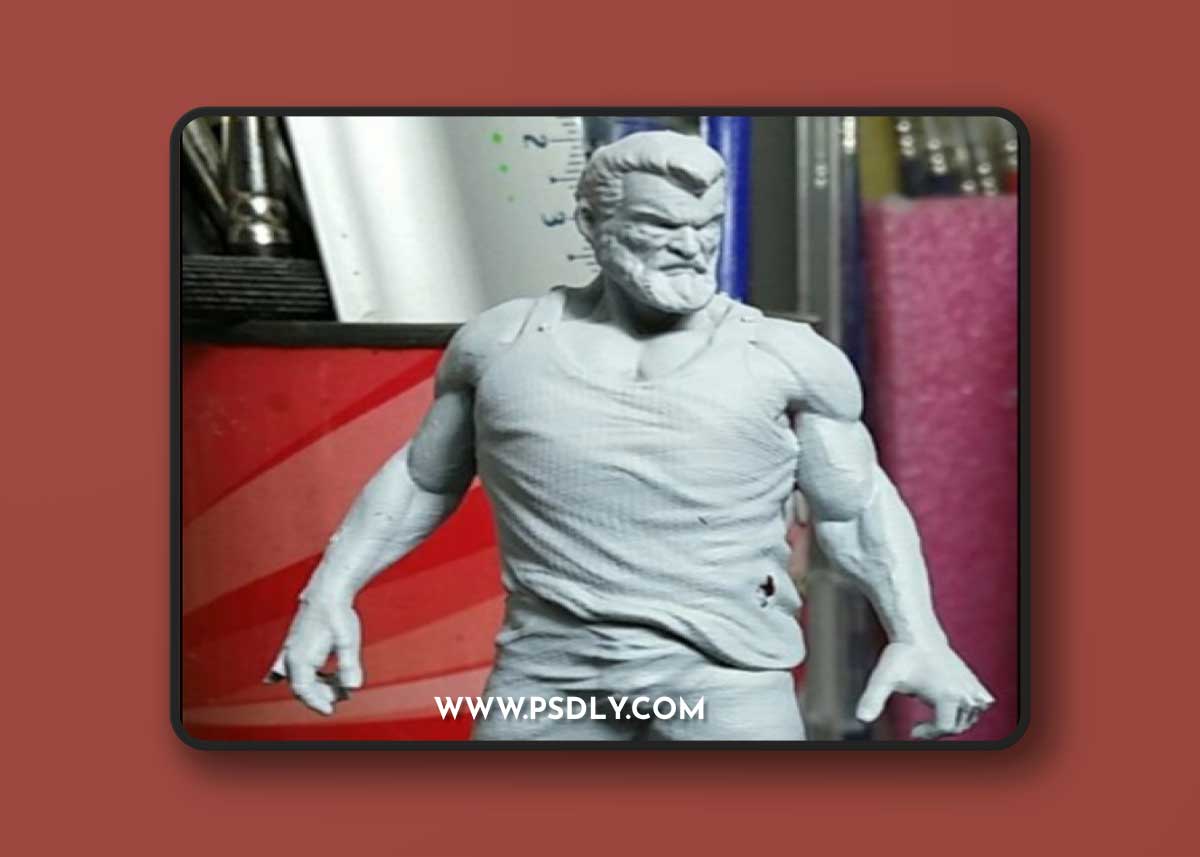 Oldman Logan – 3D Print Model
