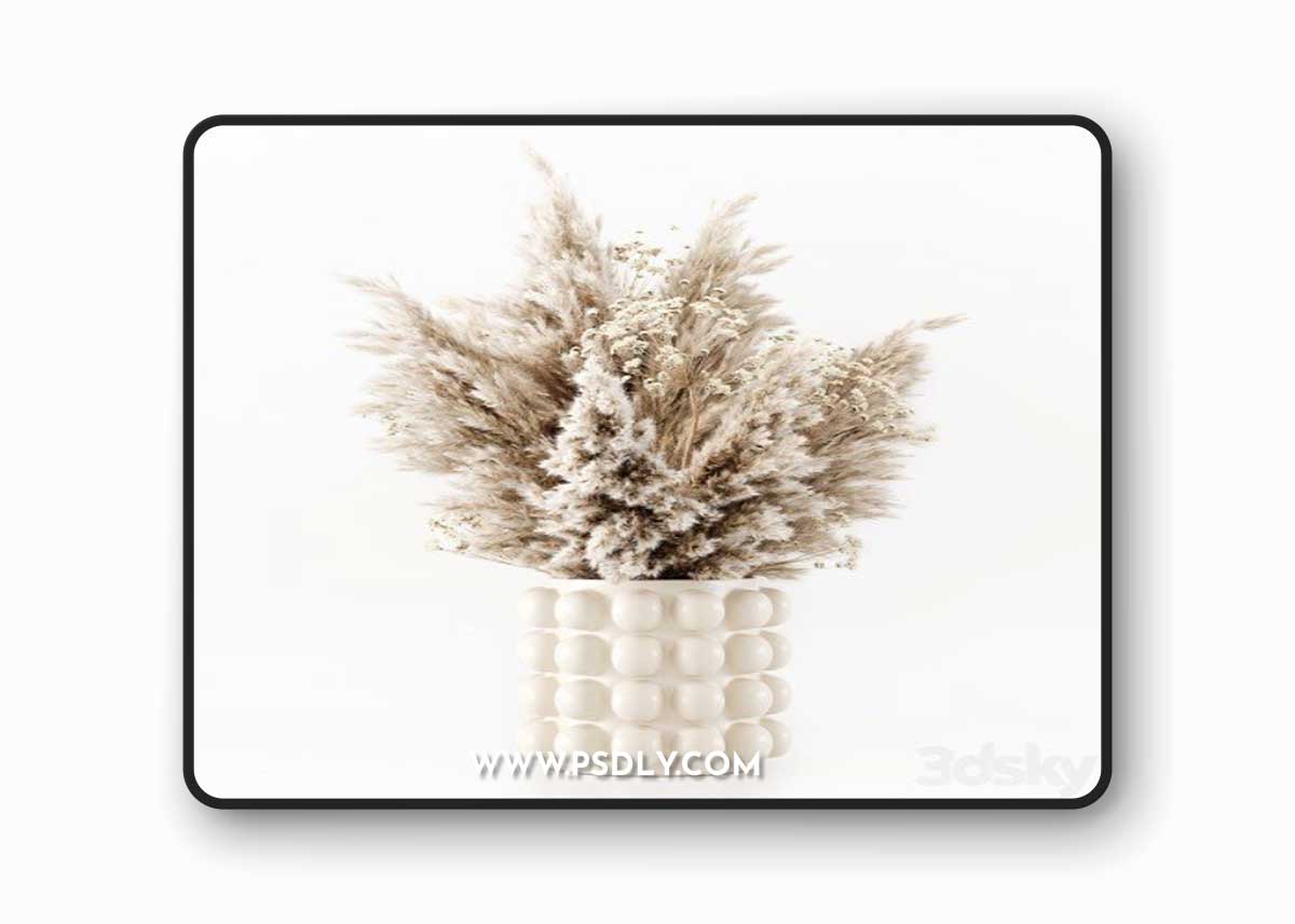 Pampas In A Bubble Pot