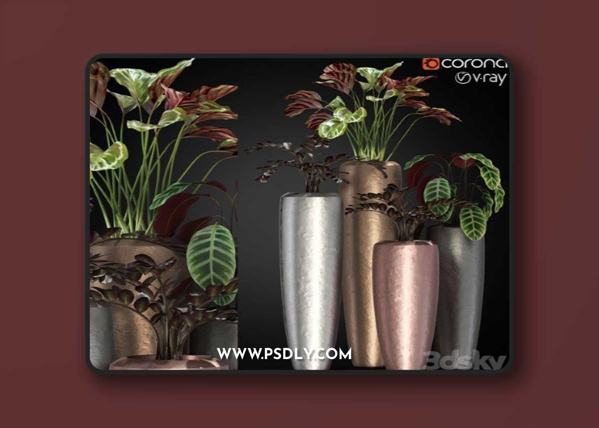 Plants collection 272 Fleur ami LOFT